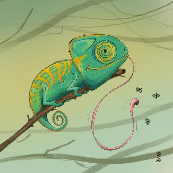 Paquito, camaleonte — I Cucciolotti, illustrazione di Gaetano Vella