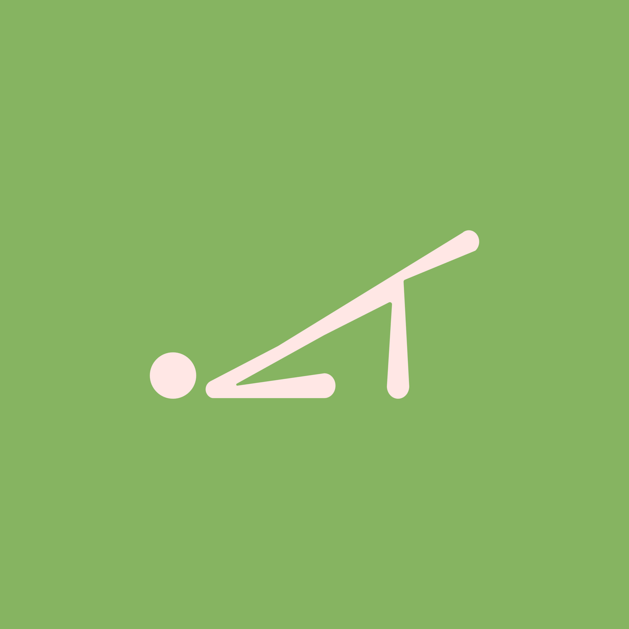 Dynamic Balance — pittogramma rosa su verde